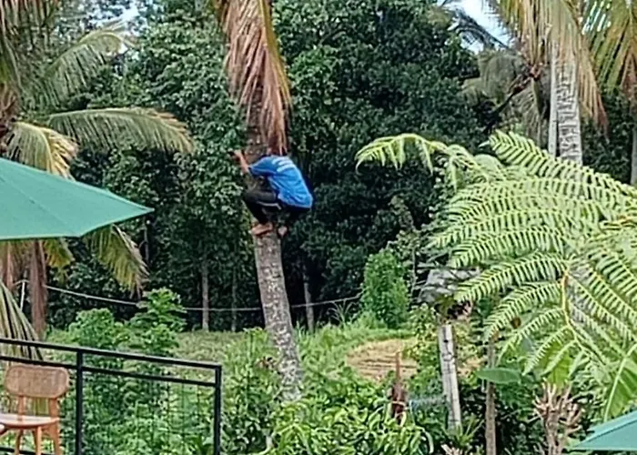 Sekumpul Bali Hidden Space